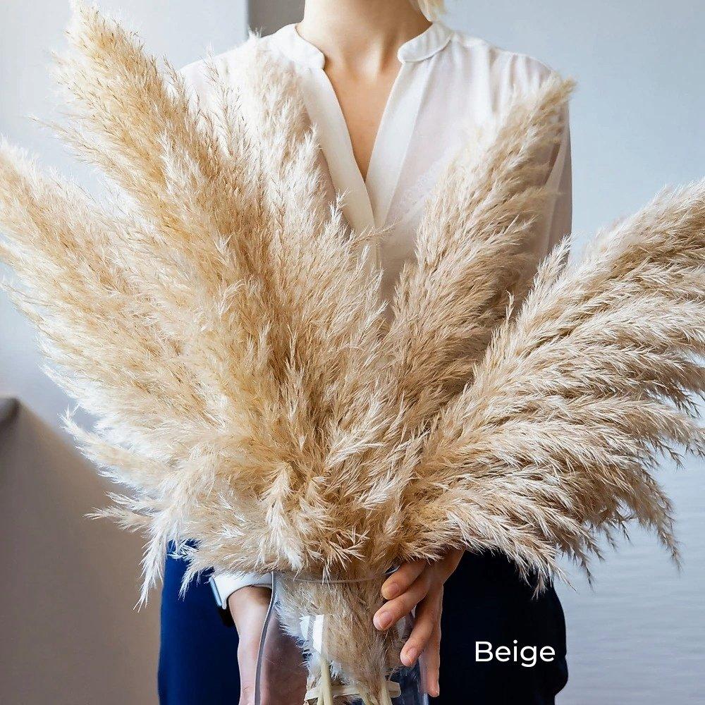 Junips | 80 cm natural, real dried pampas grass bouquet (white / beige / gray) │ fluffy feather for modern boho home decor