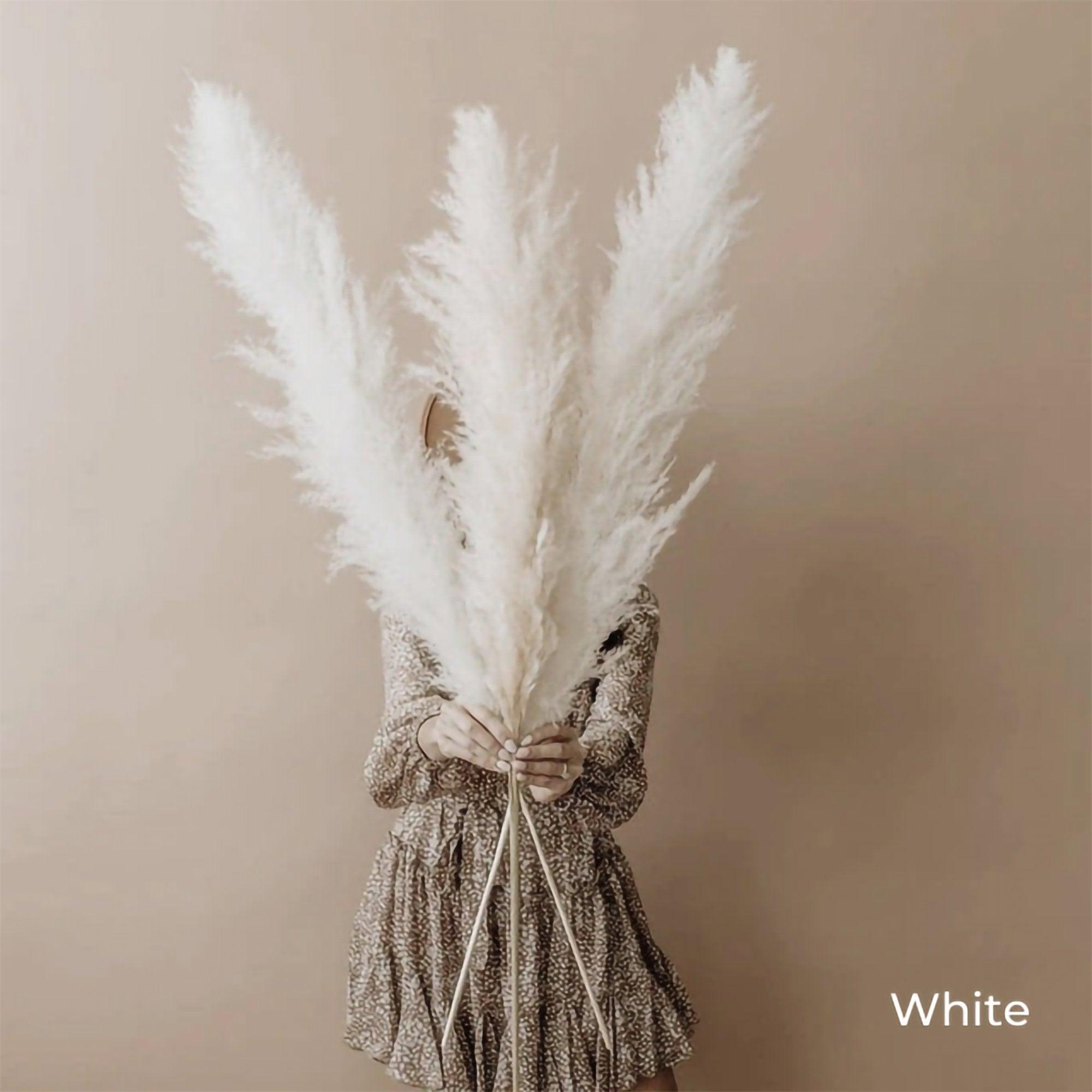 Junips | 80 cm natural, real dried pampas grass bouquet (white / beige / gray) │ fluffy feather for modern boho home decor