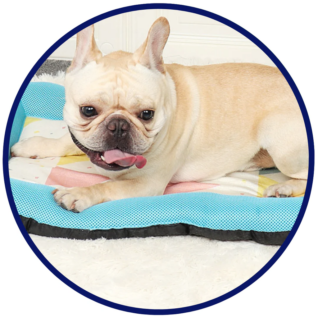 Junips | Pet Silk Cooling Mat