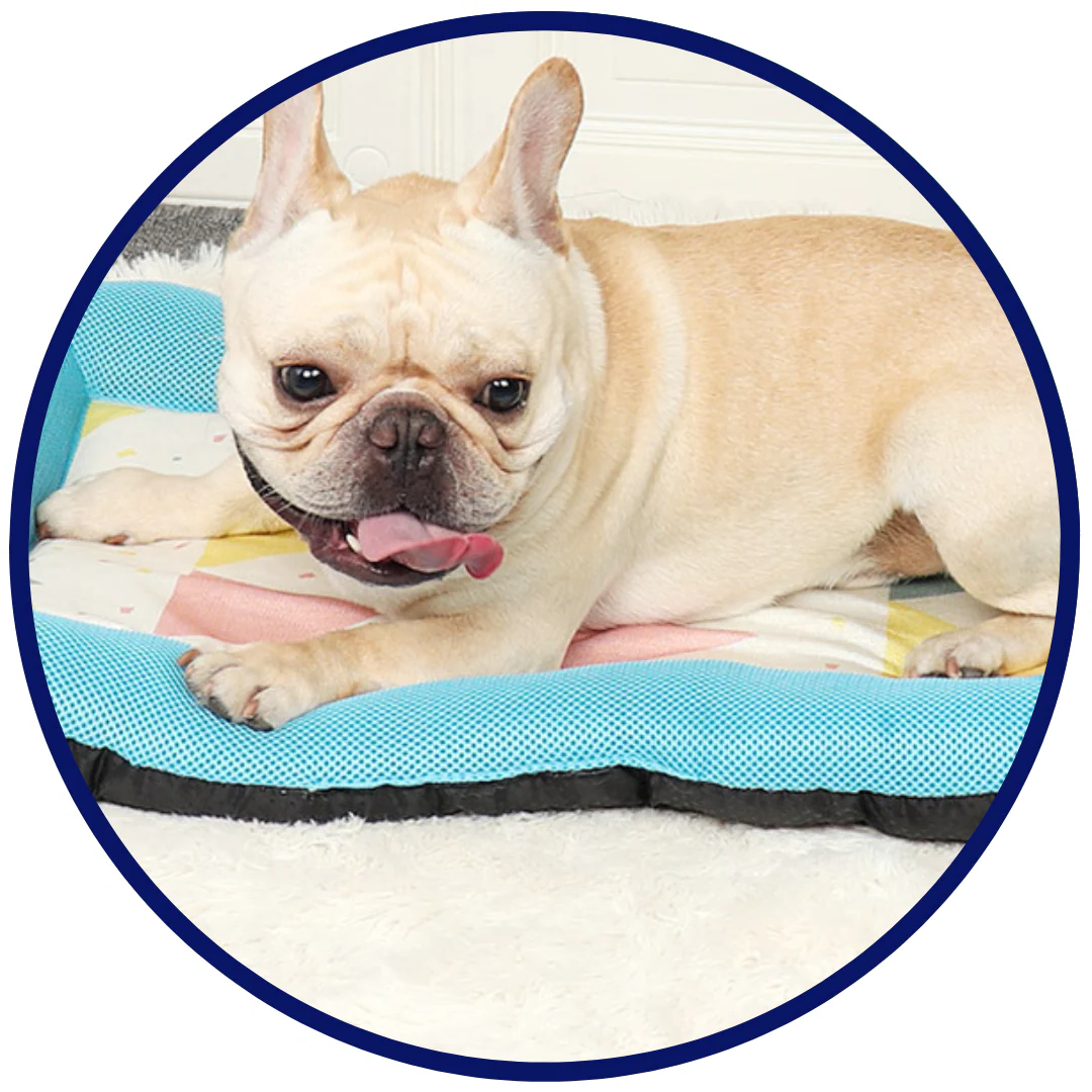 Junips | Pet Silk Cooling Mat