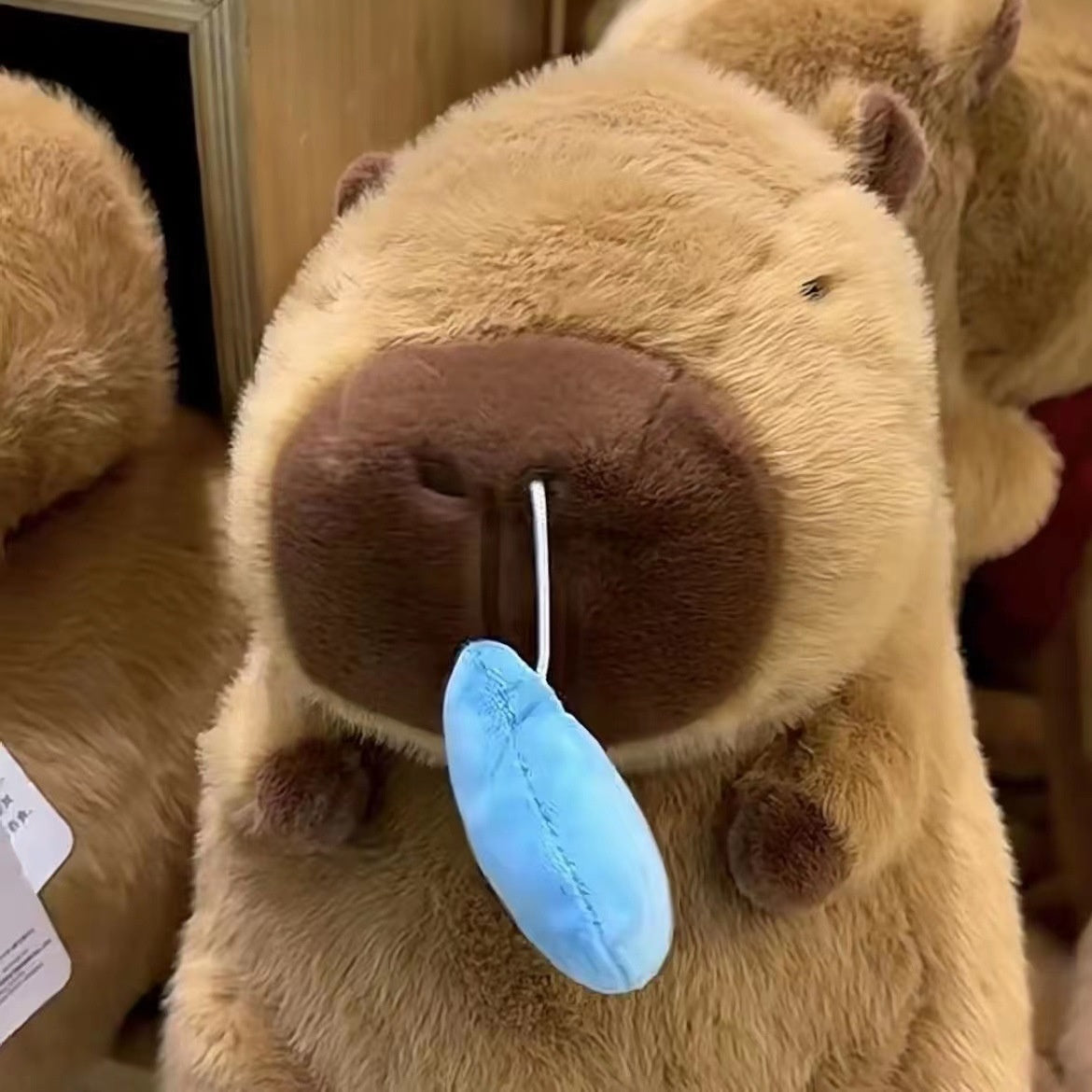 Junips | Capybara Snot Plush