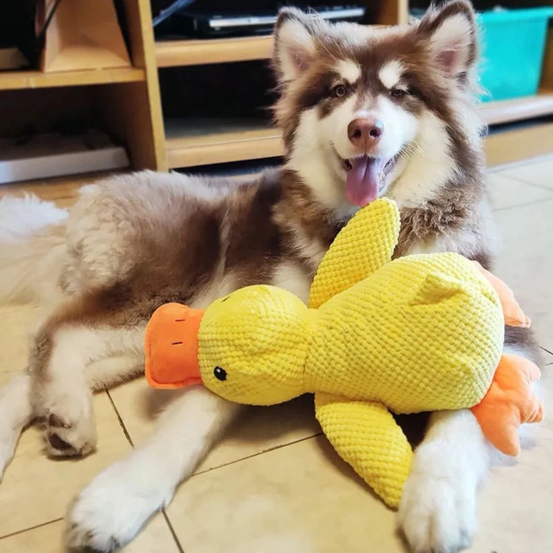 Junips | Calming duck for dogs