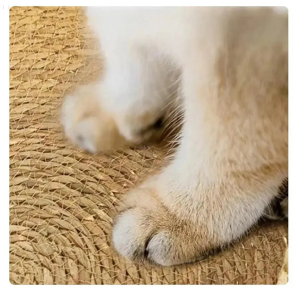 Junips | Cozypets – Super soft and comfortable cat bed