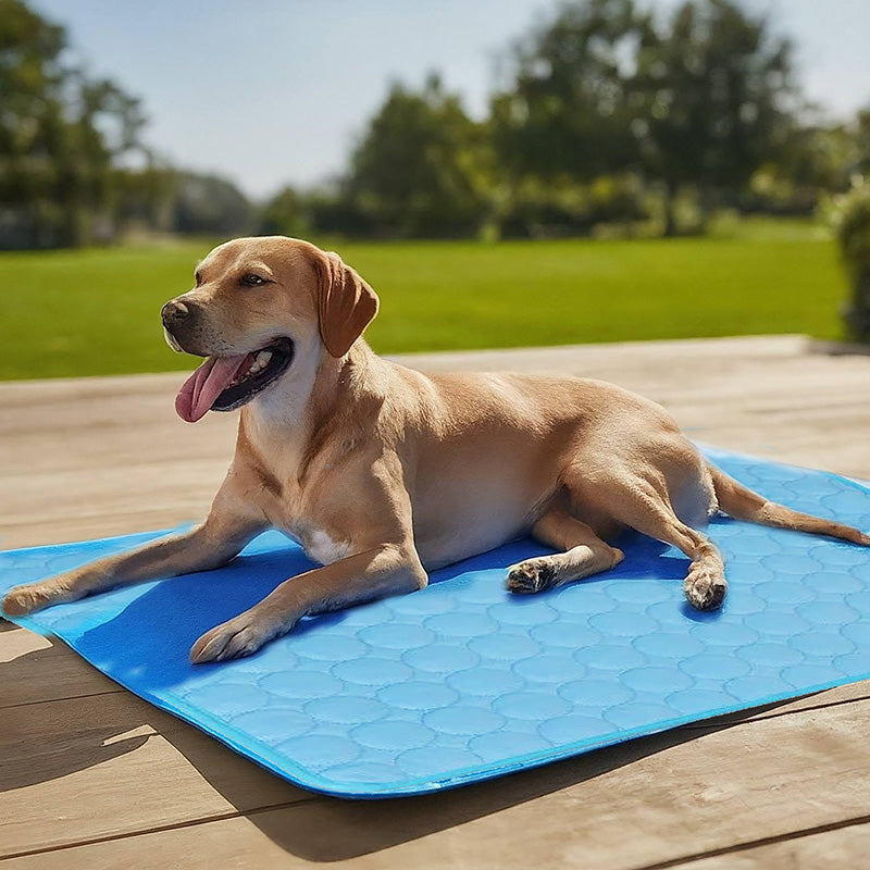 Junips | Self-Cooling Mat for Four-Legged Friends Ideal for Hot Summer