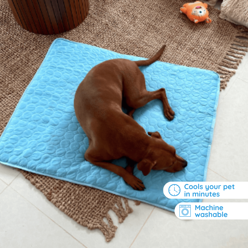 Junips | Self-Cooling Mat for Quadrupeds Perfect for Hot Summer