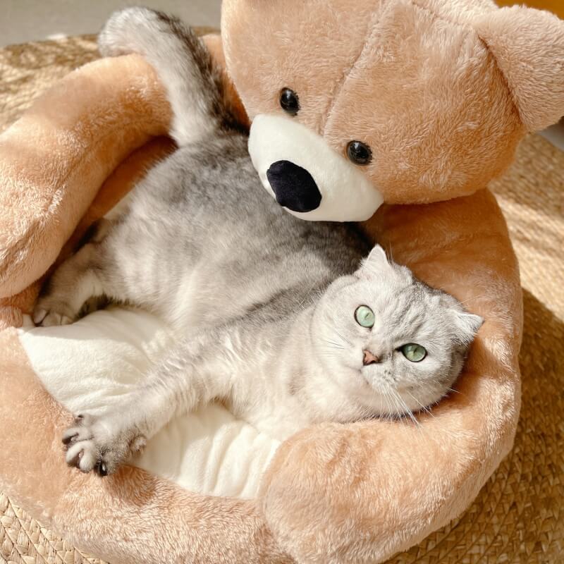 Junips | Cute detachable cuddly bear cat bed