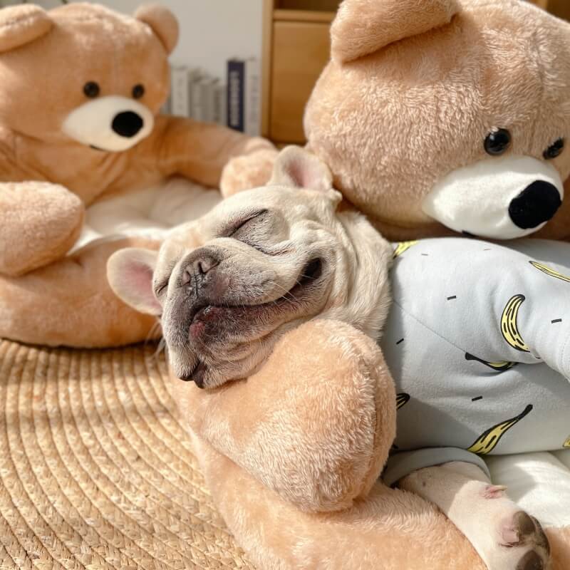 Junips | Cute detachable cuddly bear cat bed