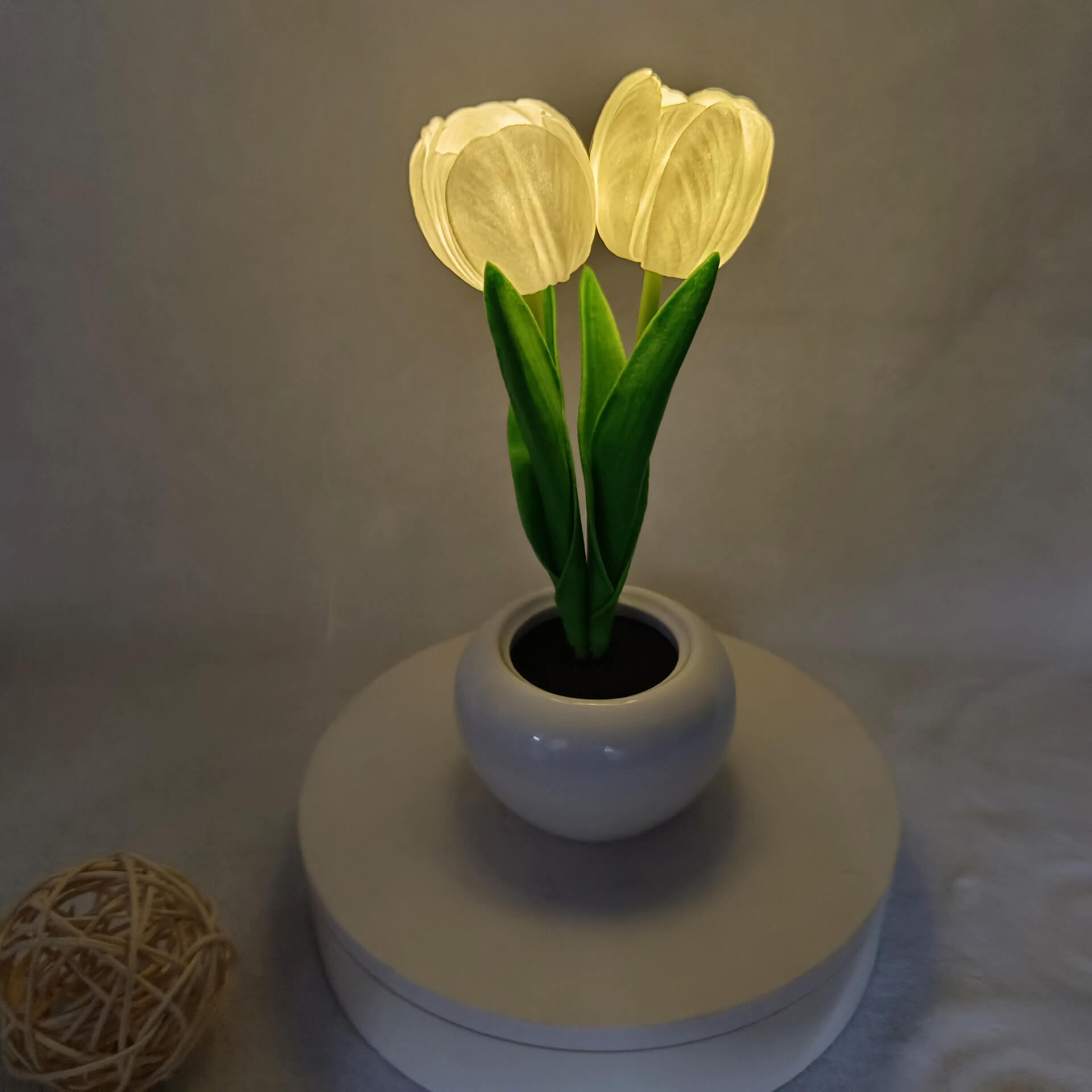 Junips | Modern Creative Simulation Tulip Peony LED Night Light Table Lamp