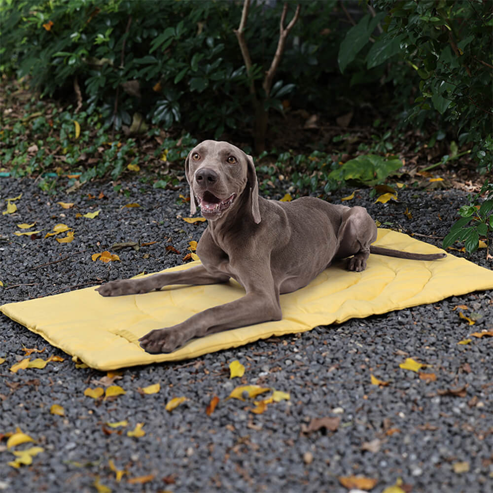 Junips | Folding Waterproof Portable Dog Car Seat Mat Dog Camping Mat