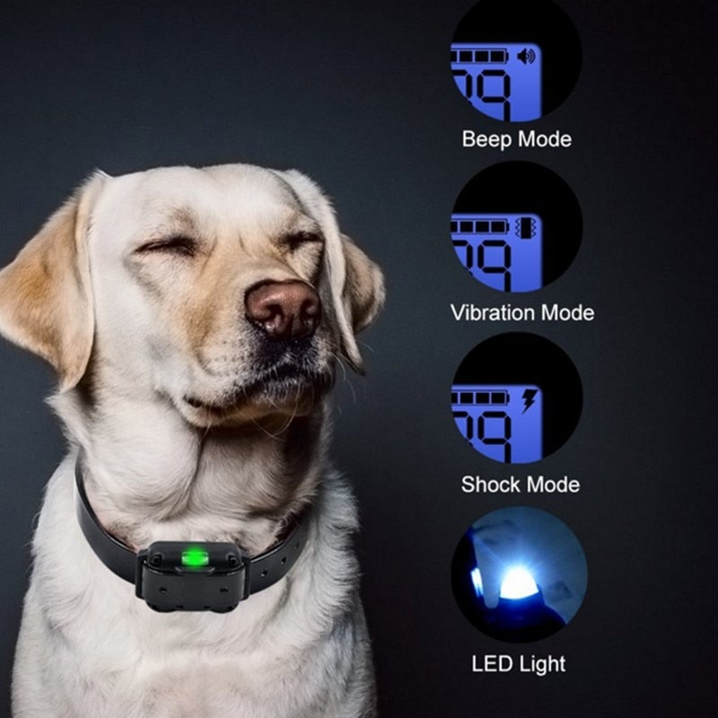 Junips | Long Shot Electric Dog Training Waterproof Collar