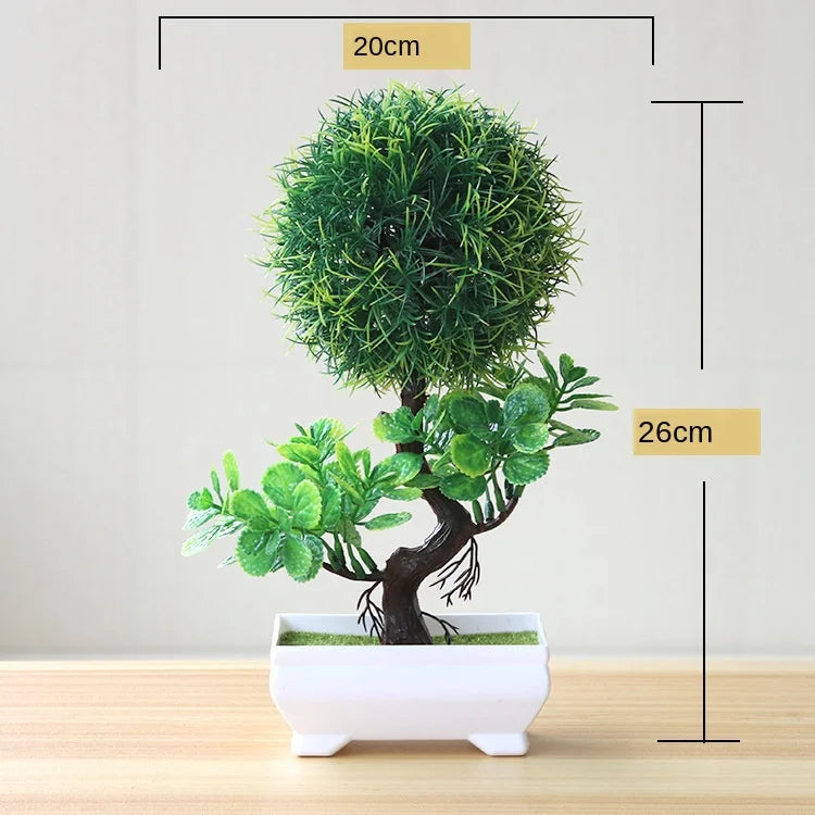 Junips | Small Tree Pot Bonsai Plants