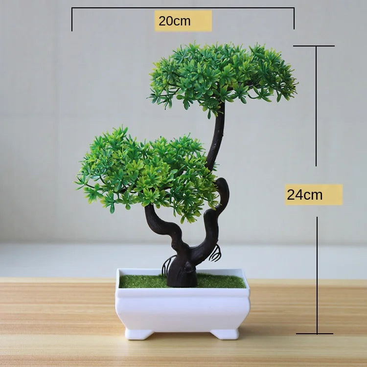 Junips | Small Tree Pot Bonsai Plants