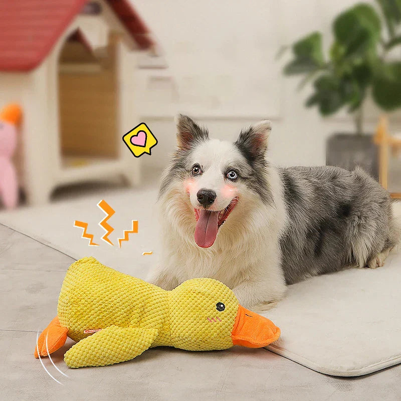 Junips | Calming duck for dogs