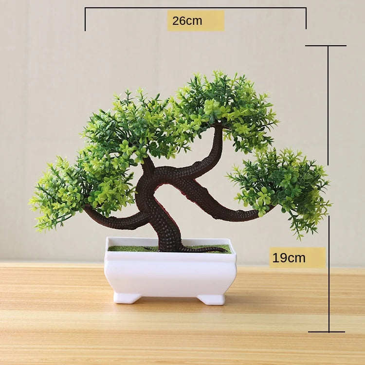 Junips | Small Tree Pot Bonsai Plants