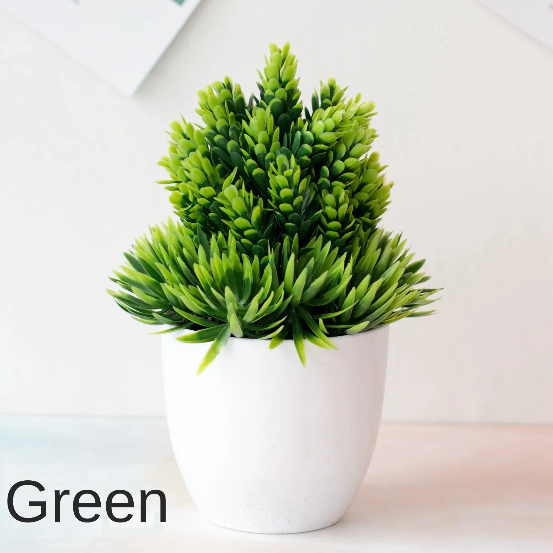 Junips | Small Tree Pot Bonsai Plants