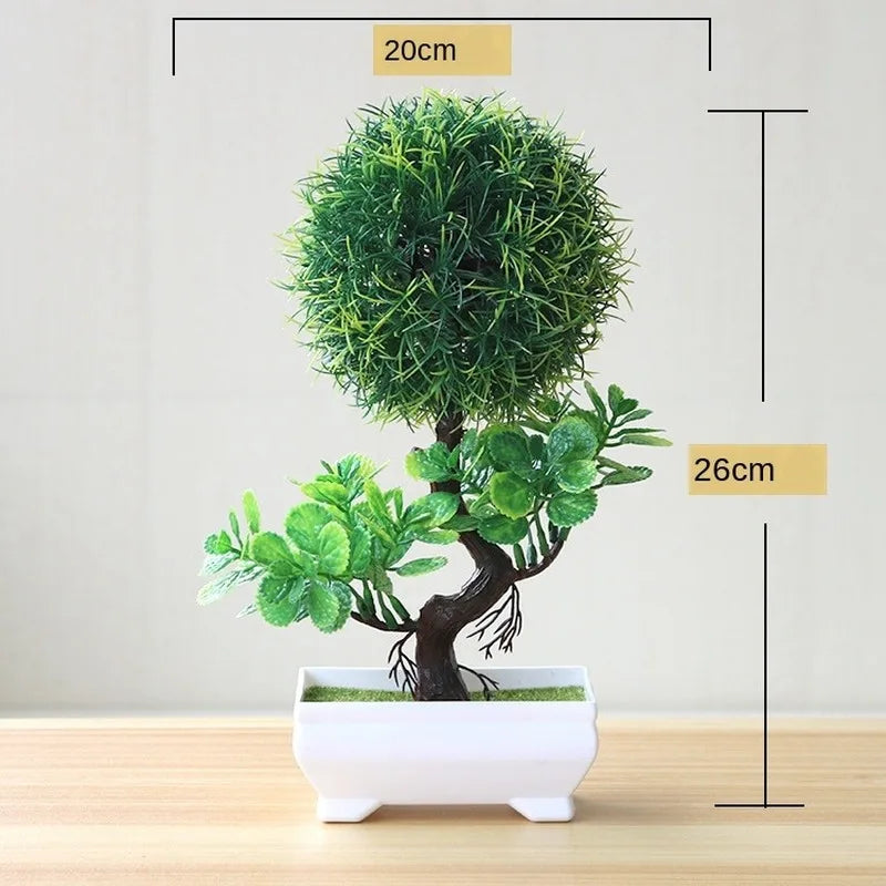 Junips | Small Tree Pot Bonsai Plants