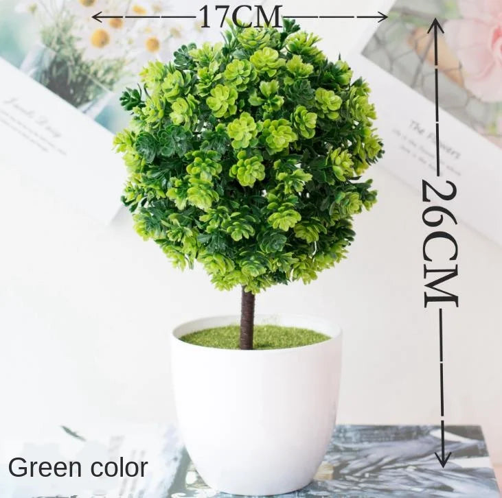 Junips | Small Tree Pot Bonsai Plants