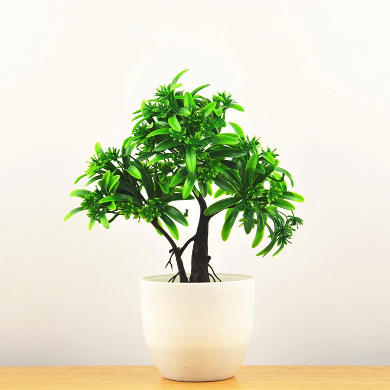 Junips | Small Tree Pot Bonsai Plants