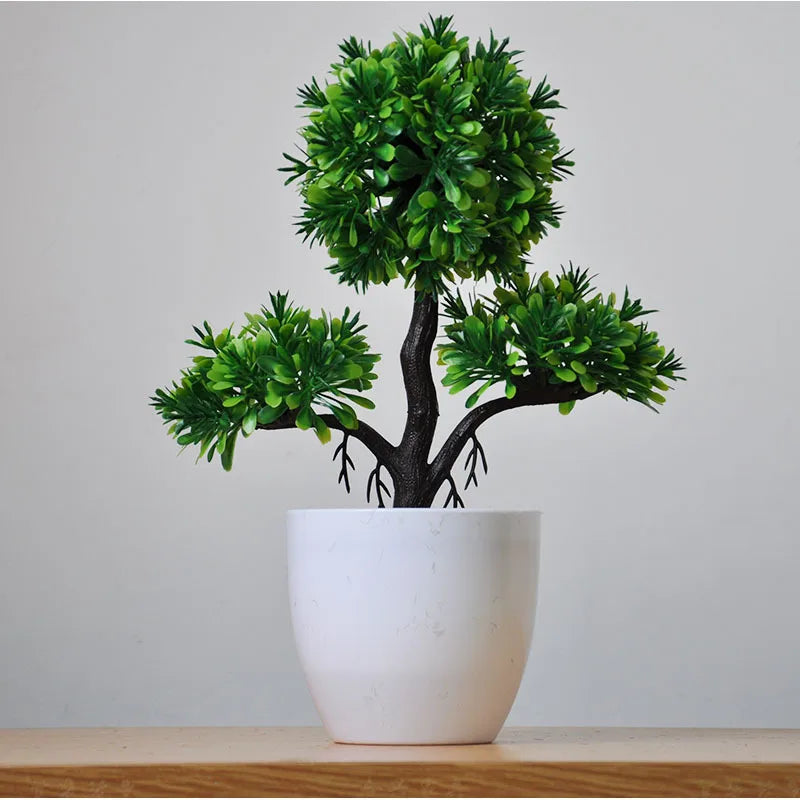 Junips | Small Tree Pot Bonsai Plants