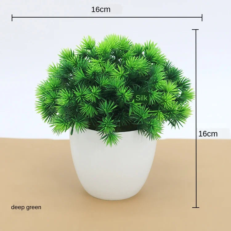 Junips | Small Tree Pot Bonsai Plants