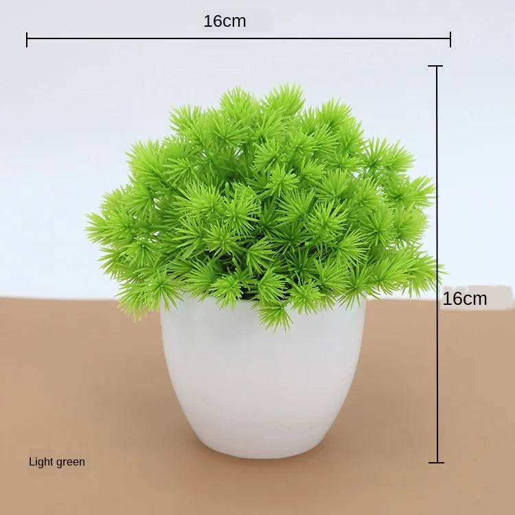 Junips | Small Tree Pot Bonsai Plants