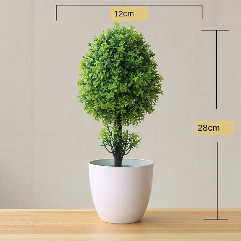 Junips | Small Tree Pot Bonsai Plants
