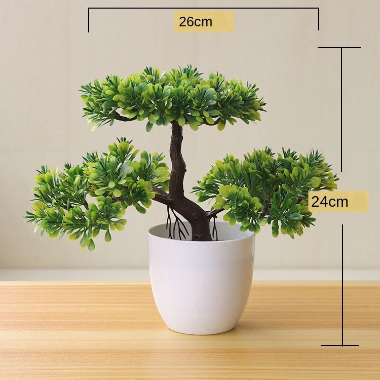 Junips | Small Tree Pot Bonsai Plants