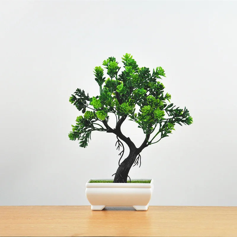 Junips | Small Tree Pot Bonsai Plants
