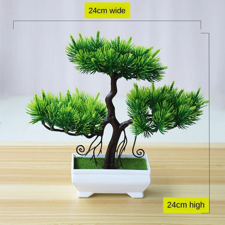 Junips | Small Tree Pot Bonsai Plants