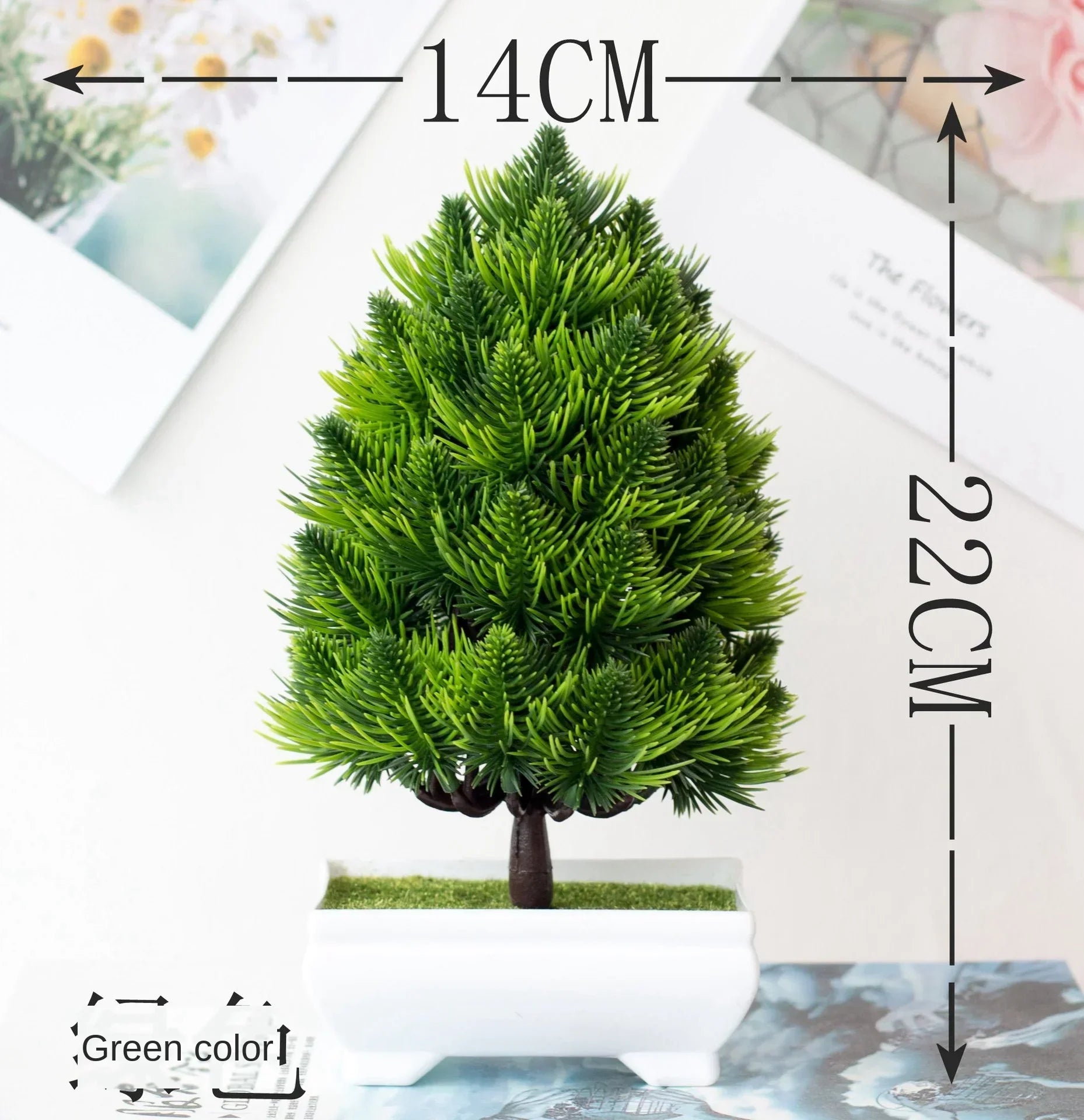 Junips | Small Tree Pot Bonsai Plants