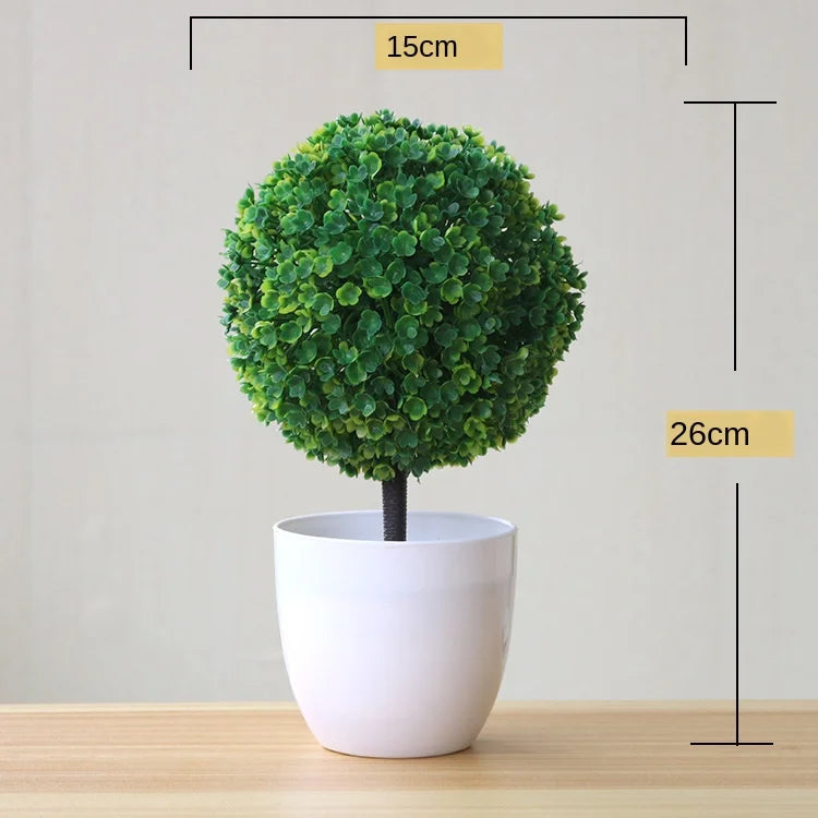 Junips | Small Tree Pot Bonsai Plants