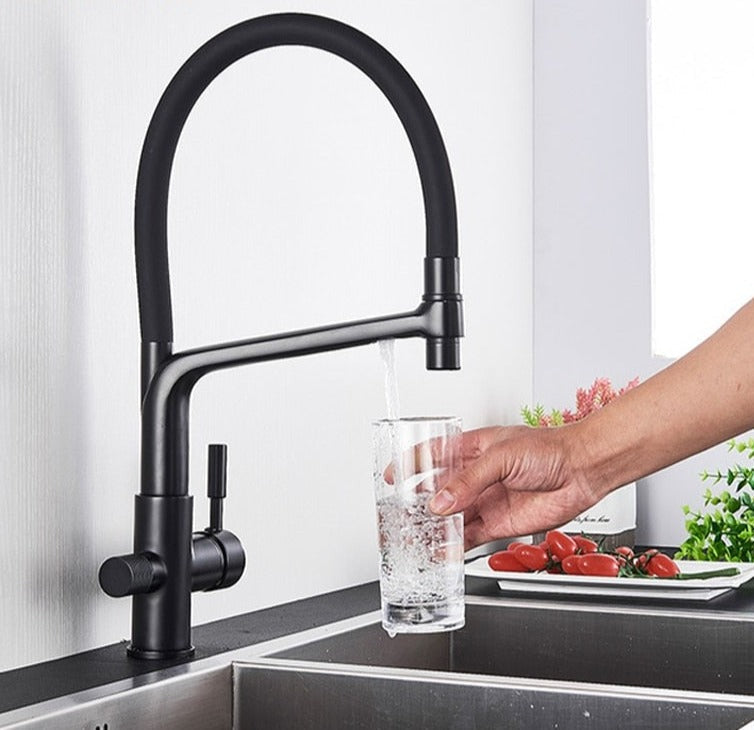 Junips | Double Outlet Drinking Water Faucet Filtered Kitchen Faucets