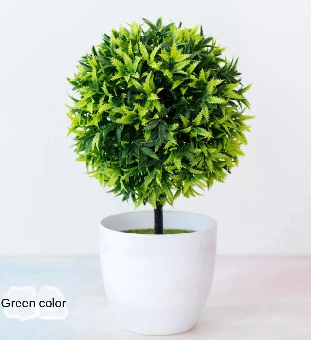 Junips | Small Tree Pot Bonsai Plants
