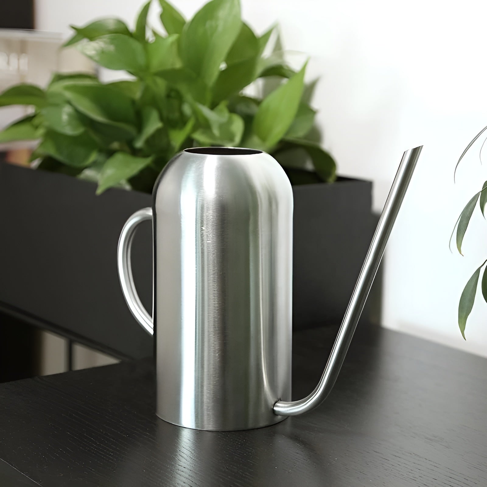 Junips | Stainless Steel Pourer - 1.5L Long Watering Can for Plants and Flowers