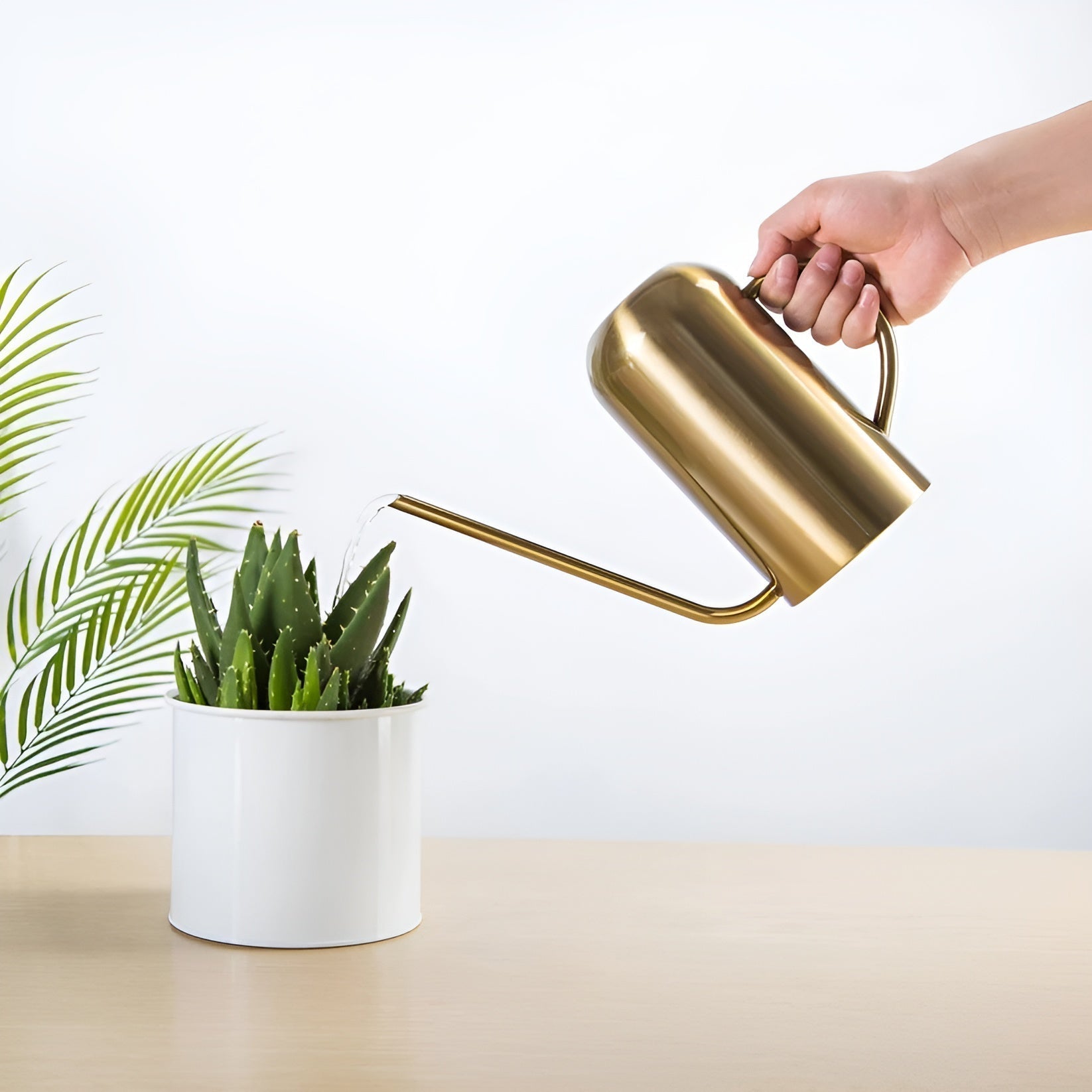 Junips | Stainless Steel Pourer - 1.5L Long Watering Can for Plants and Flowers