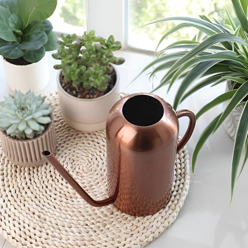 Junips | Stainless Steel Pourer - 1.5L Long Watering Can for Plants and Flowers