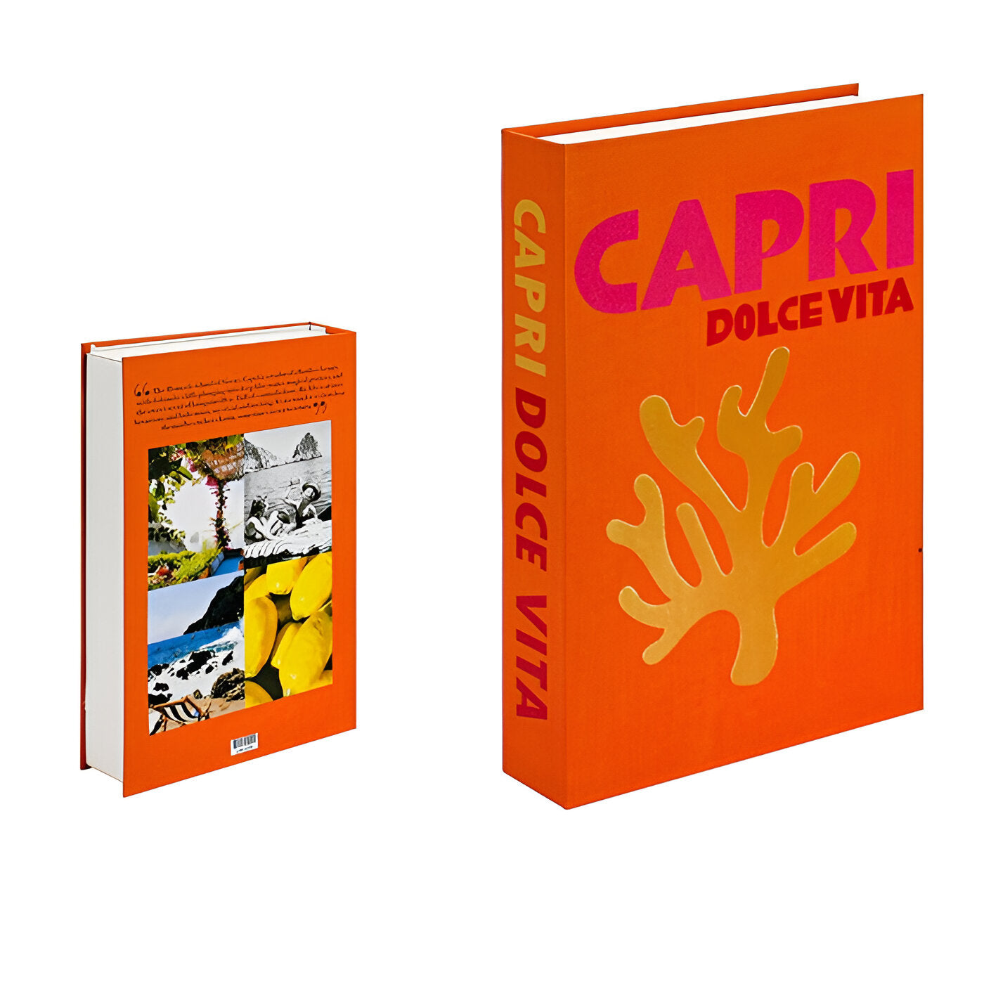 Junips | ChicFaux Decorative Books - Coffee Table Books - Books for Decoration