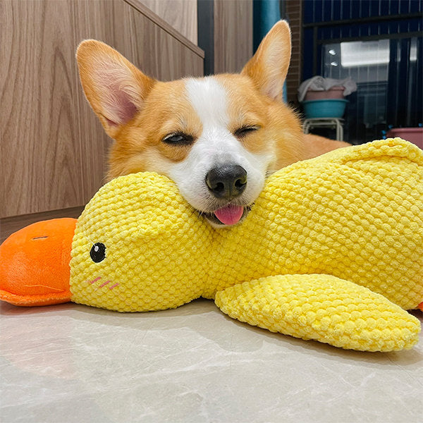 Junips | Calming duck for dogs