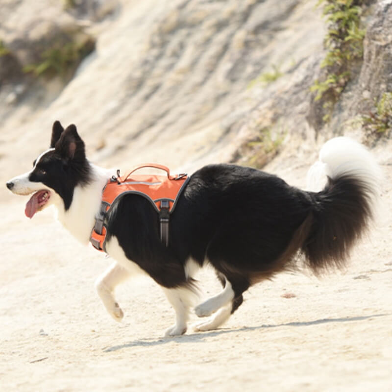 Junips | Multifunctional explosion-proof anti-pull harness for medium to large dogs harness