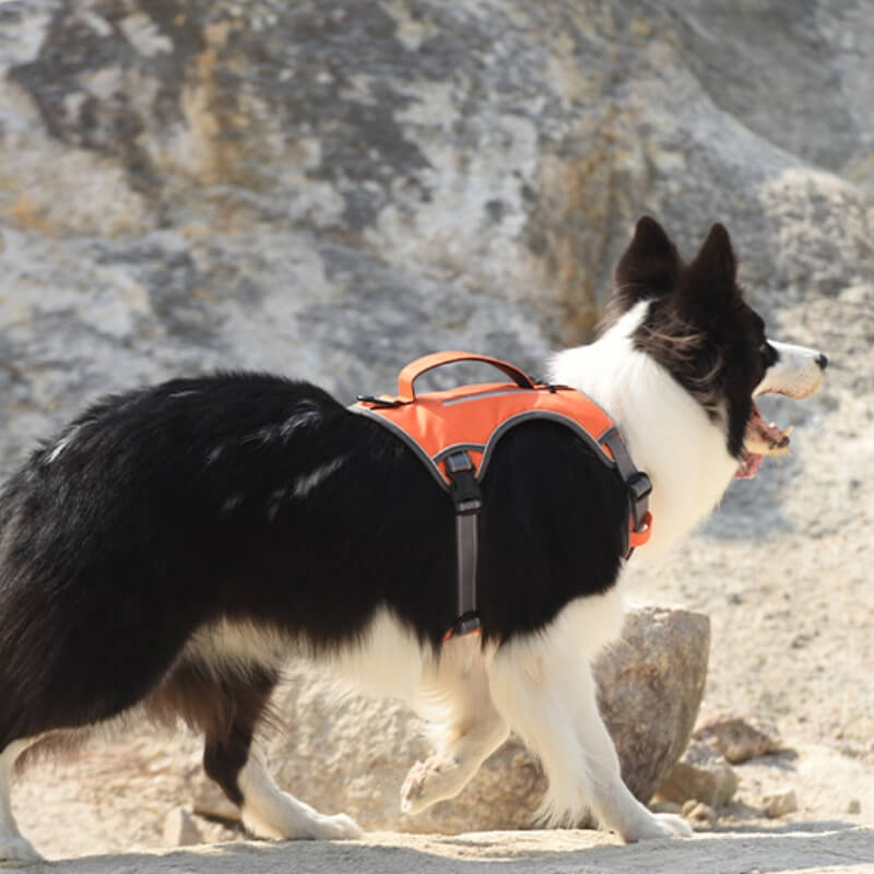 Junips | Multifunctional explosion-proof anti-pull harness for medium to large dogs harness