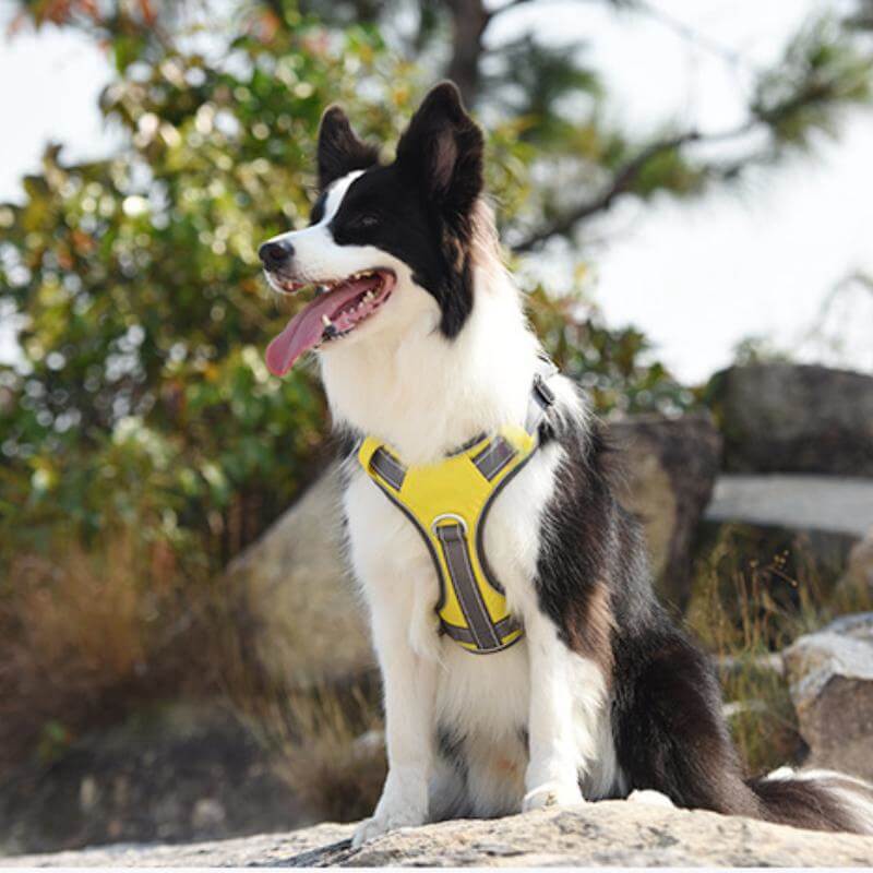 Junips | Multifunctional explosion-proof anti-pull harness for medium to large dogs harness
