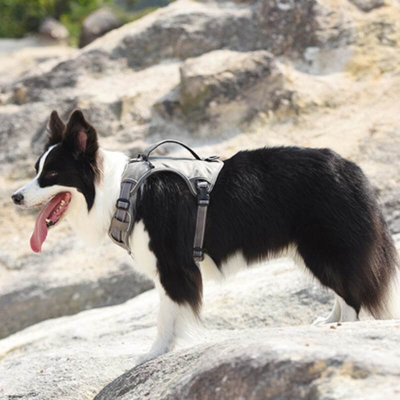 Junips | Multifunctional explosion-proof anti-pull harness for medium to large dogs harness