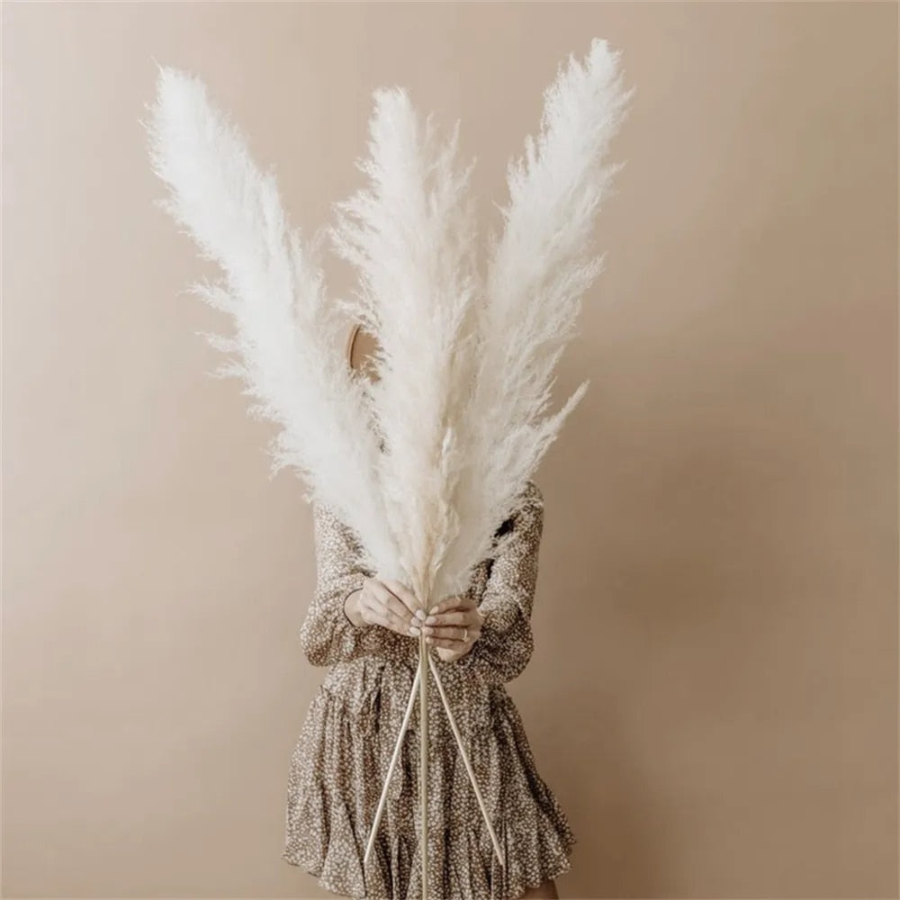 Junips | Pampas Dried Flowers