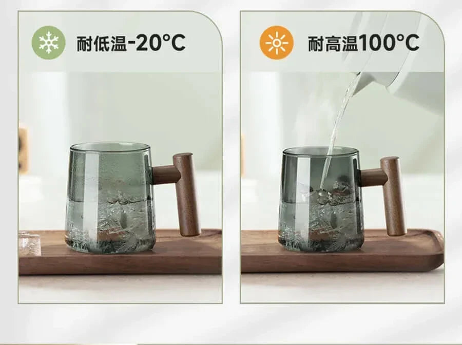 Junips | Ultramodern Glass Tea Cup with Filter and Lid