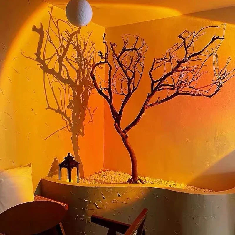 Junips | Sunset Ceiling Spot Light