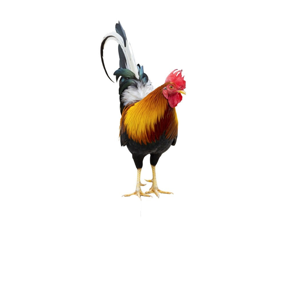 Junips | Garden figure: Feathered beauty