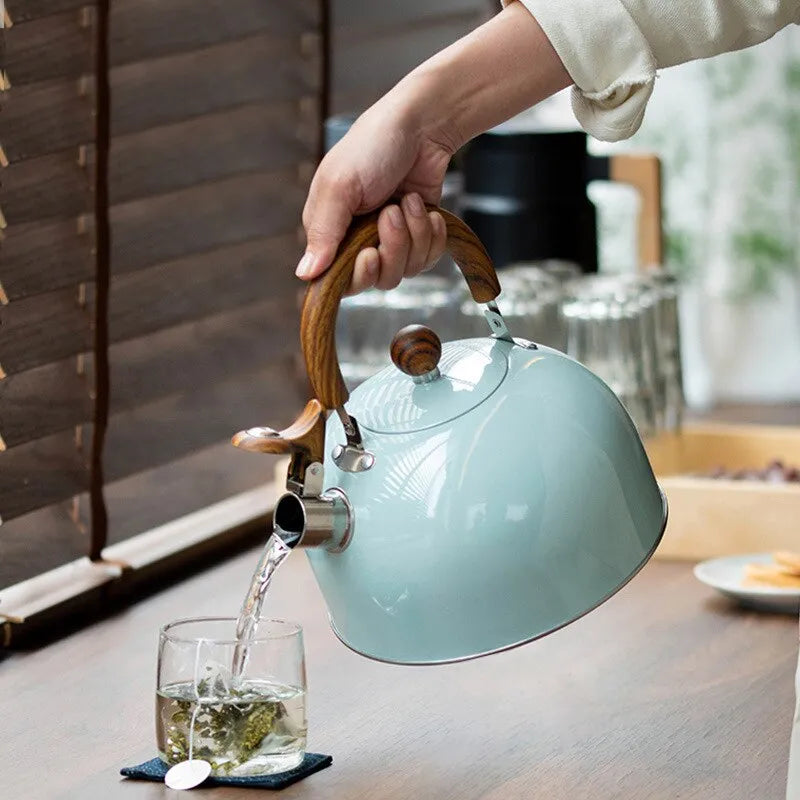 Junips | 1 piece 2.5/3 l liter kettle made of stainless steel, thickened kettle, gas induction stove, universal kettle, kettle