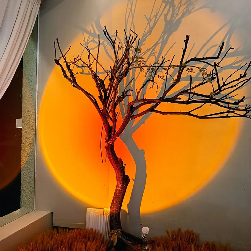 Junips | Sunset Ceiling Spot Light