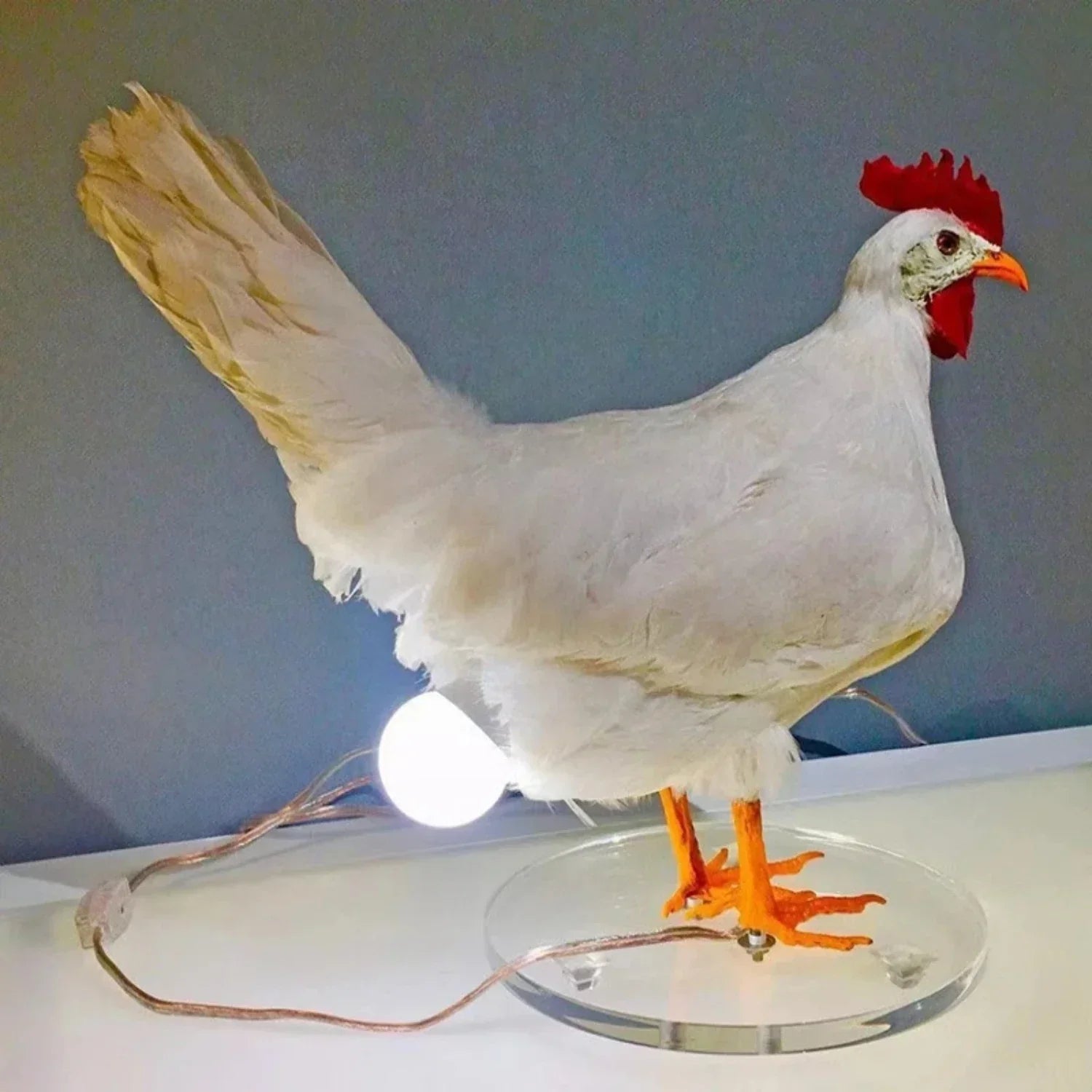 Junips | Farmhouse Chicken Table Lamp