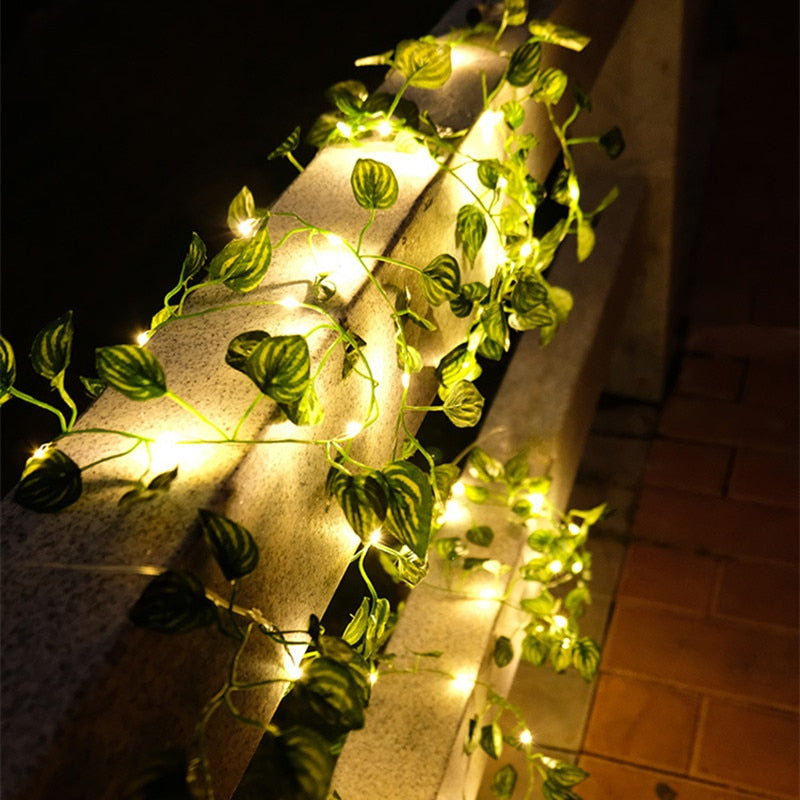 Junips | Garden vine LED string lights